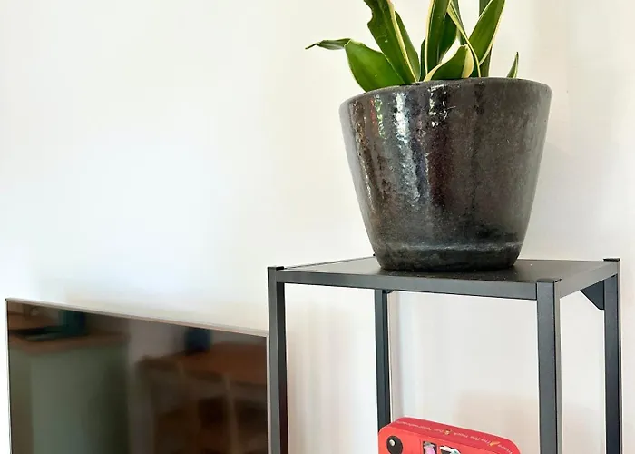 Modern Free Parking 4*