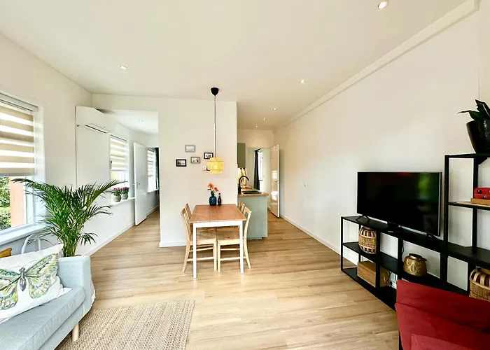 Modern Free Parking 4* 赞德沃特